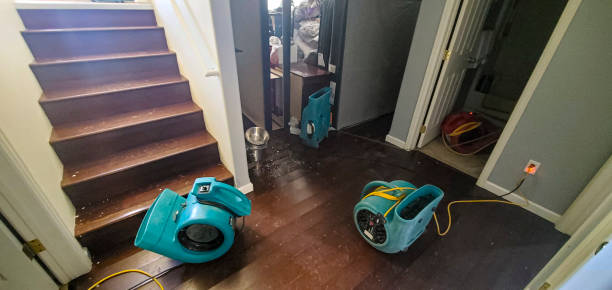 Best Emergency water damage restoration  in Astatula, FL