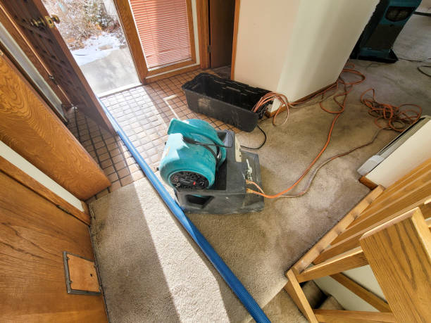 Best Water damage restoration experts  in Astatula, FL