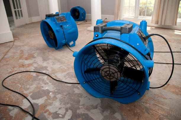 Best Sewage cleanup and water damage restoration  in Astatula, FL