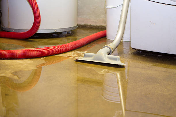 Best Professional water damage repair  in Astatula, FL