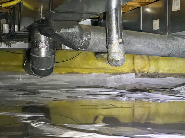 Best Flood damage cleanup  in Astatula, FL