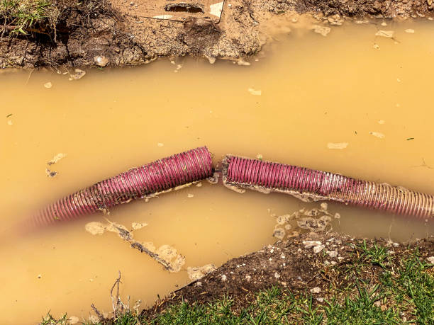 Best Carpet water damage restoration  in Astatula, FL