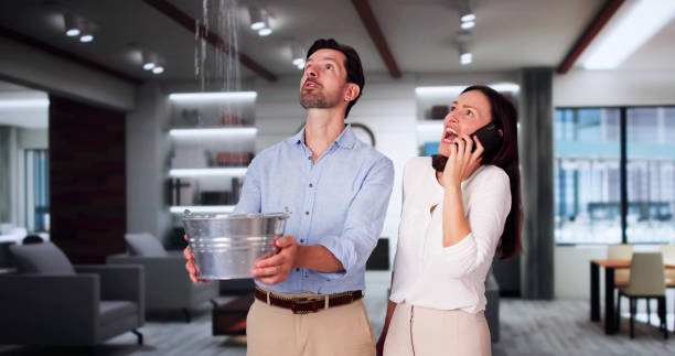Best Water damage contractors near me  in Astatula, FL