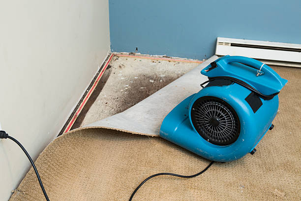 Best Professional water damage repair  in Astatula, FL